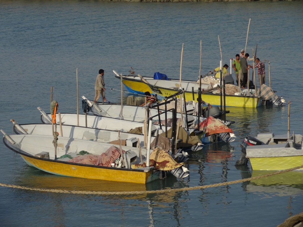 قایق های ماهیگیری - رمچاه