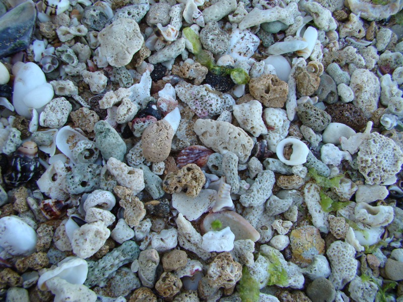 سنگ ریزه ساحل